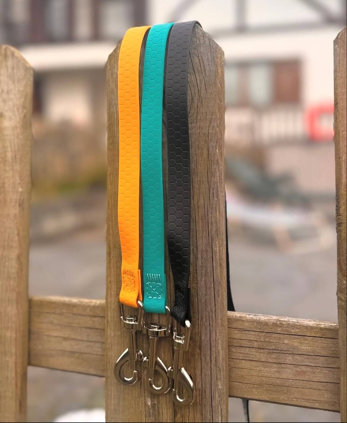 Correa para Perros TPU